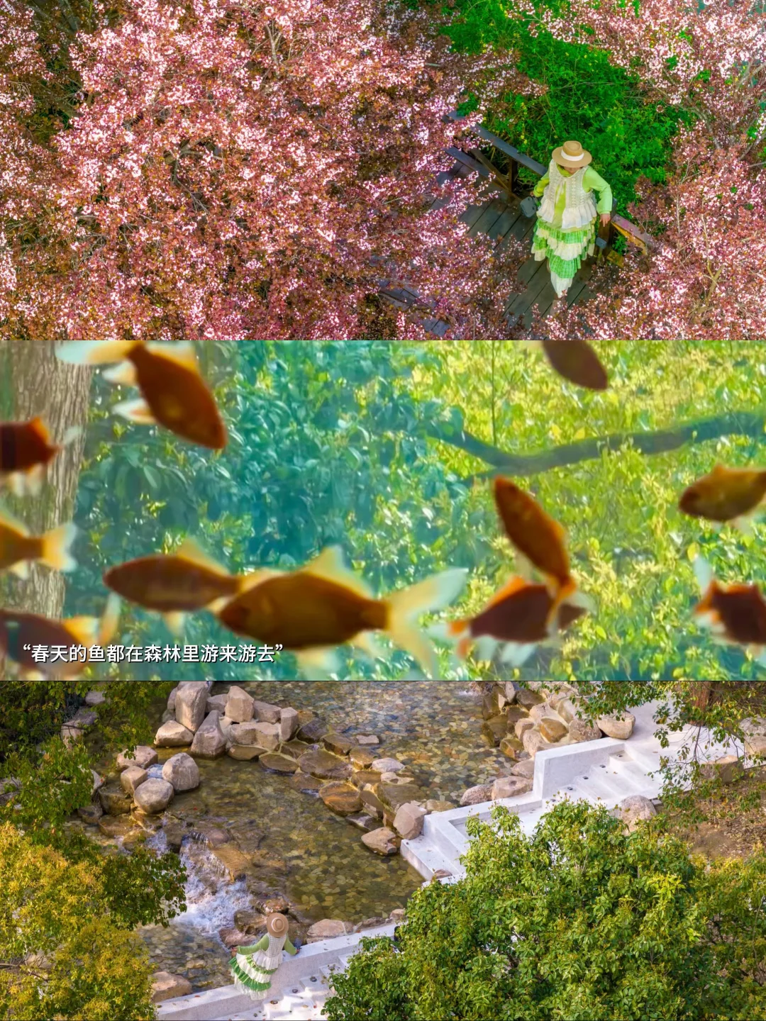 进入春野王国|🚘杭州1h就可以到的乐园