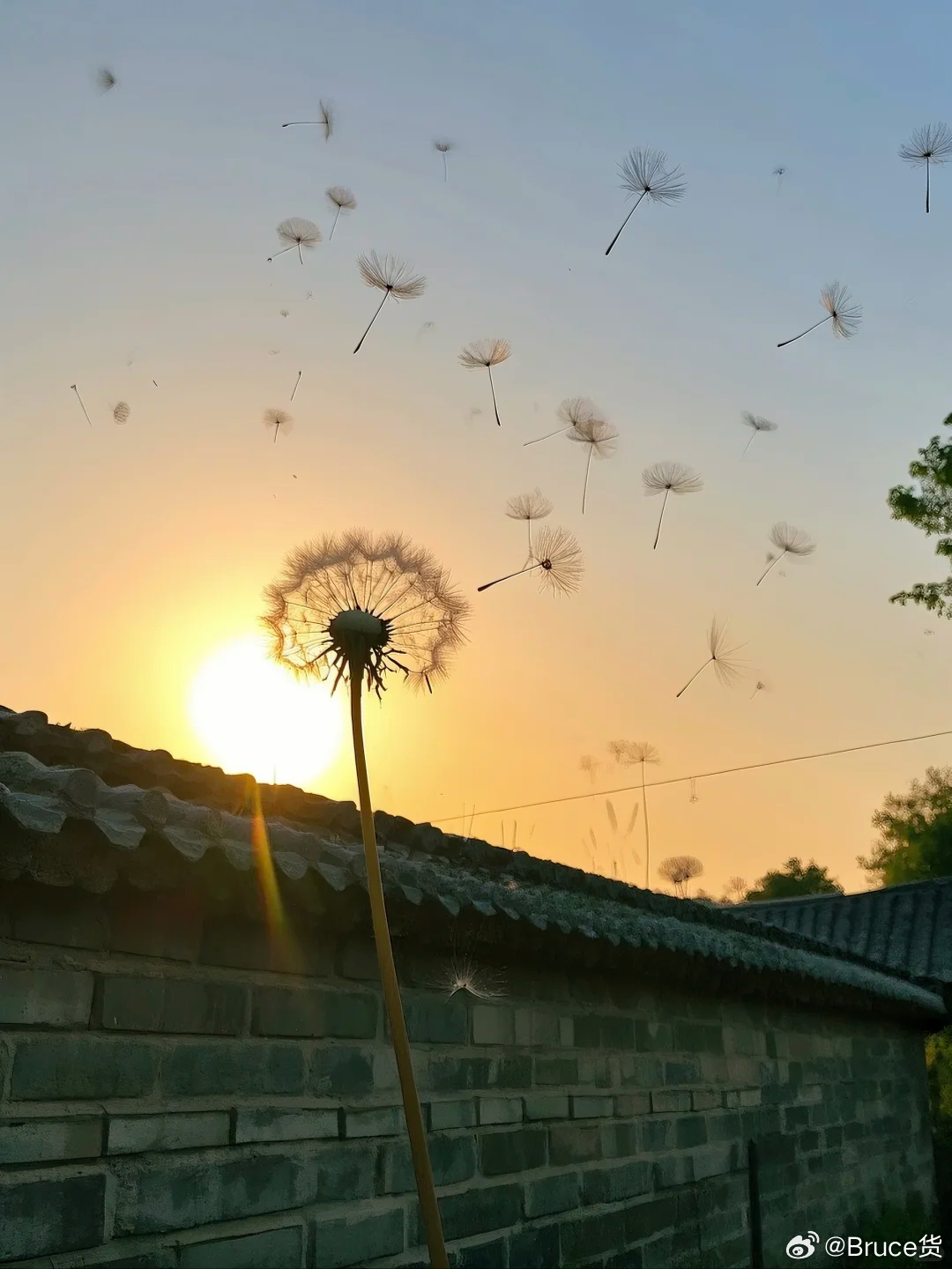 风暴与航路：全球海运业在重构中驶向何方？
2026年的全球海运业，正经历着一场前所未有的压力测试。从红海到黑海，从巴拿马运河到莱茵河，地缘冲突与气候变化双重夹击下的关键航道运费集体冲高，供应链的脆弱性暴露无遗。与此同时，低碳脱碳的刚性约束与人工智能的深度渗透，又在倒逼这个古老行业重塑 ​