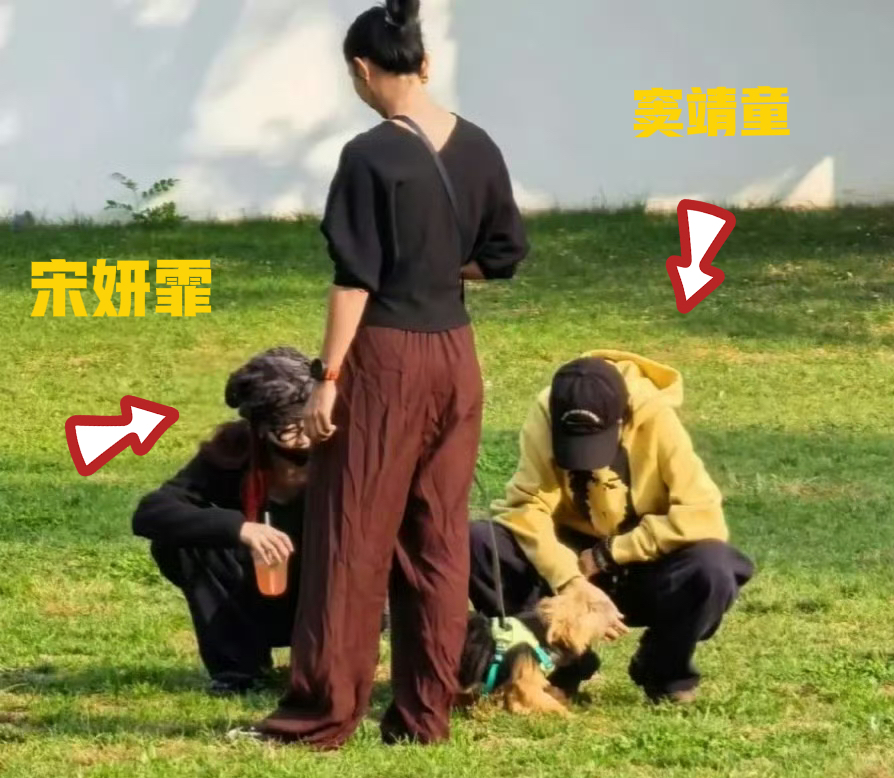 宋妍霏窦靖童奥森遛狗又同框了！私下交集不少，关系真不一般！

这次路人在北京奥森拍到宋妍霏和窦靖童结伴遛狗，两个人挨在一起，陪着小狗玩耍，相处的默契一眼就能看出来。

从2023年合作之后，她们的私下同框就断断续续传出。除了单独约着出门，早前音乐节那次，宋妍霏和窦靖童的家人（王菲、李嫣）一同出现，当