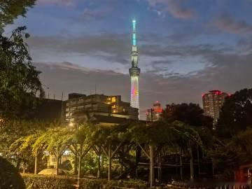 来看广州塔了（bushi），以及蘸面直接把汁浇进去岂不是更好吃<spa...