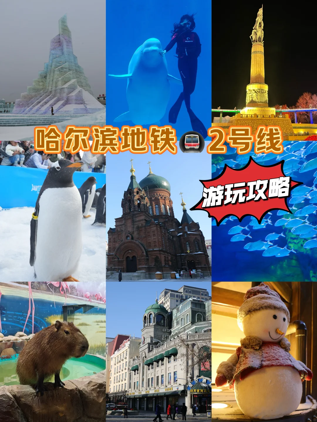 南方小土豆速看哈尔滨地铁2号线游玩攻略