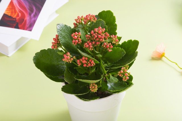 老了才懂，和兄弟姐妹断了联系，是人生最不理智的选择