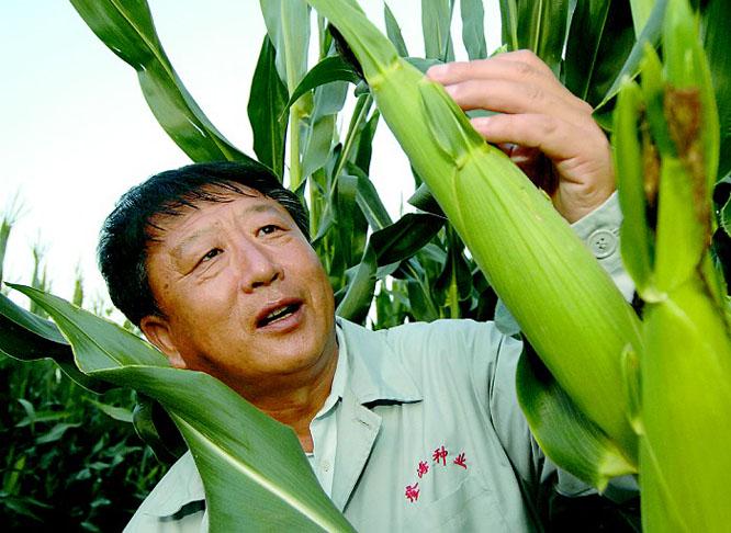 1974年，李登海收到了老师从美国带回来的“廉价礼品”。没想到，就是这些看着不起