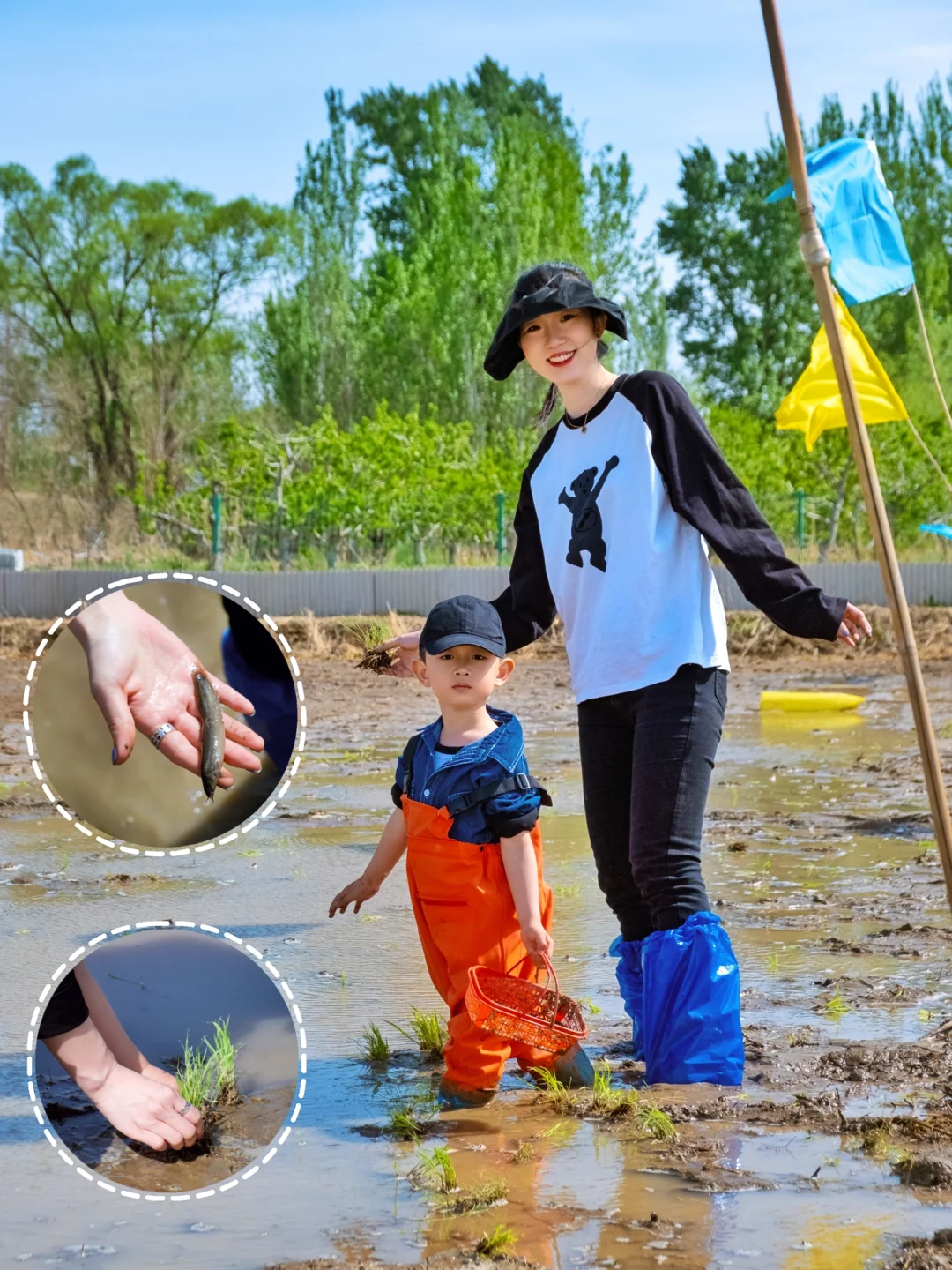 春季劳动正当时‼️插秧🌱抓泥鳅🌱体验小农夫
