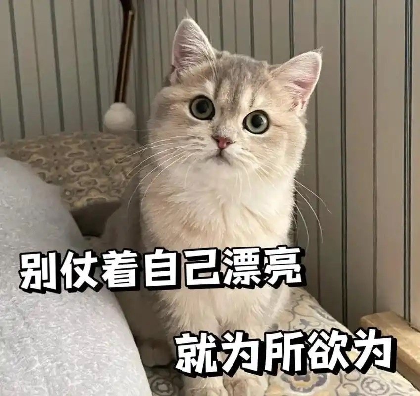 一个人得多优秀啊，才能让粉丝和小嘿都一致觉得她理所当然应该拿所有奖[可爱] 在实力和人气这一块，旁人瑟瑟发抖#陈丽君[超话]# ​