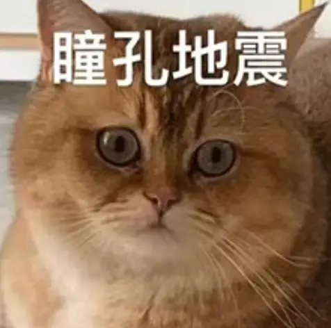 如果整座高楼都彻底倒塌了，那才算是真正意义上的大地震，这点常识总该懂吧？
