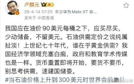 卢麒元