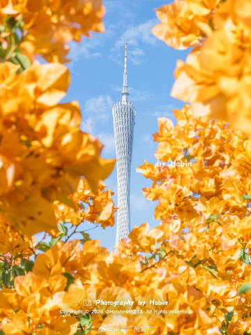 天气晴朗，🌻广州塔🌻
