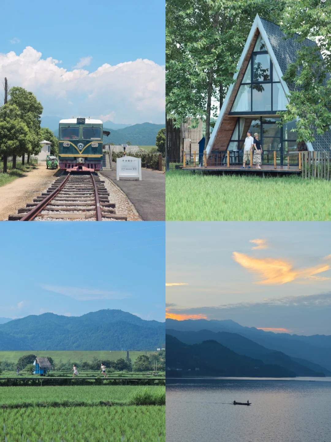 武汉周边百亩稻田/通往宫崎骏的夏日童话