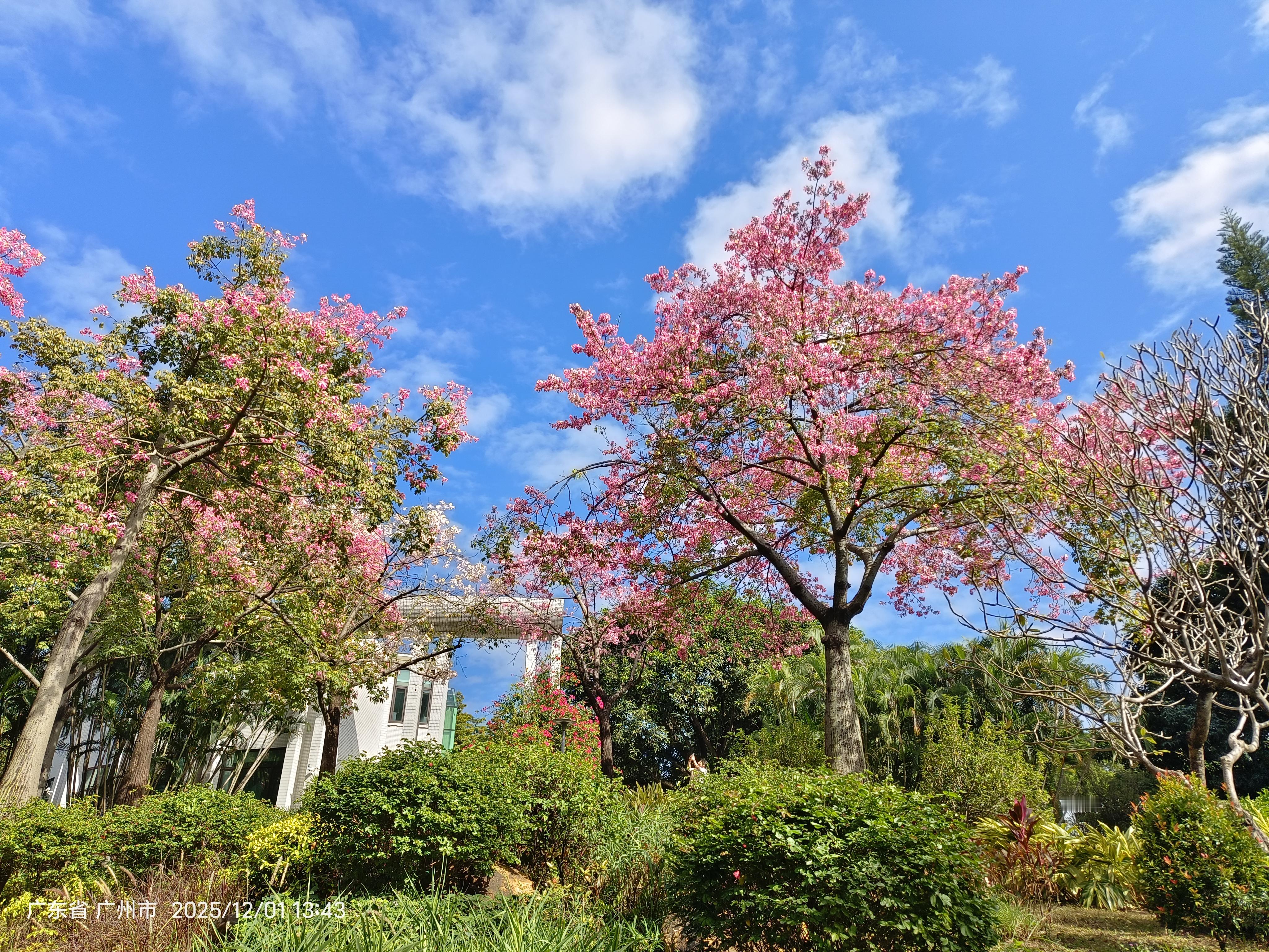 <p>一张照片记录广州的美景广州市天河公园 <!--{img:0}--...