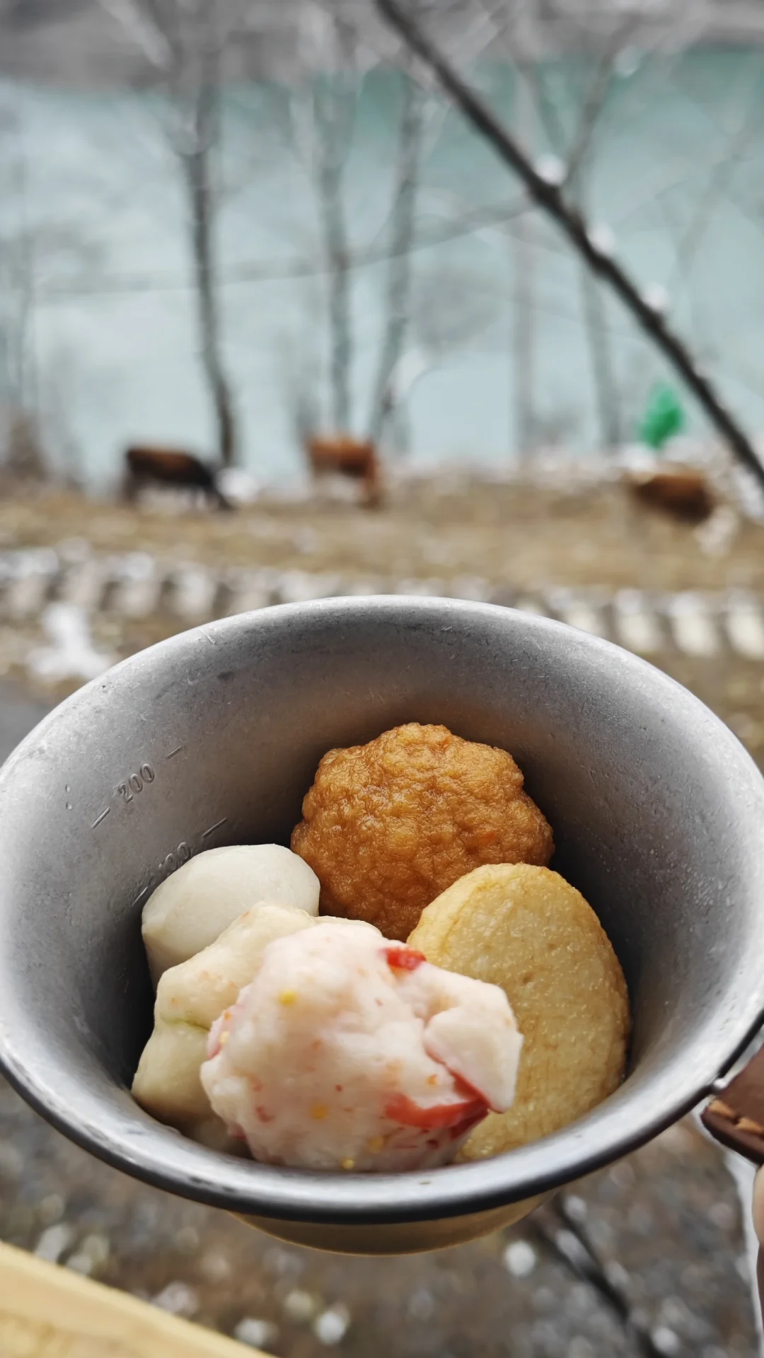 敬牛马！🐮🐴