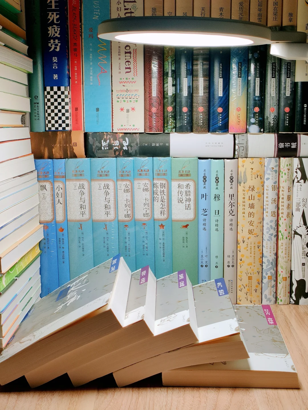 几十年了，再没有像它那样惊艳到我的小说