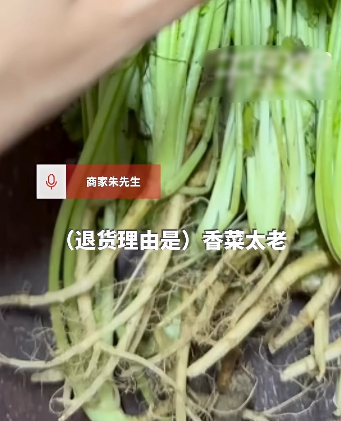 #8元香菜仅退款商家驱车千里上门取菜#
江苏徐州商家售卖8.59元香菜，买家收货后以香菜偏老为由申请仅退款，不用退回商品。商家觉得委屈，直接自驾千里从徐州赶往上海取回香菜，往返路费花了近千元。

明明经济上很不划算，但商家表示不去一趟心里过不去。这件事引发热议，有人佩服商家较真的态度，也有 ​