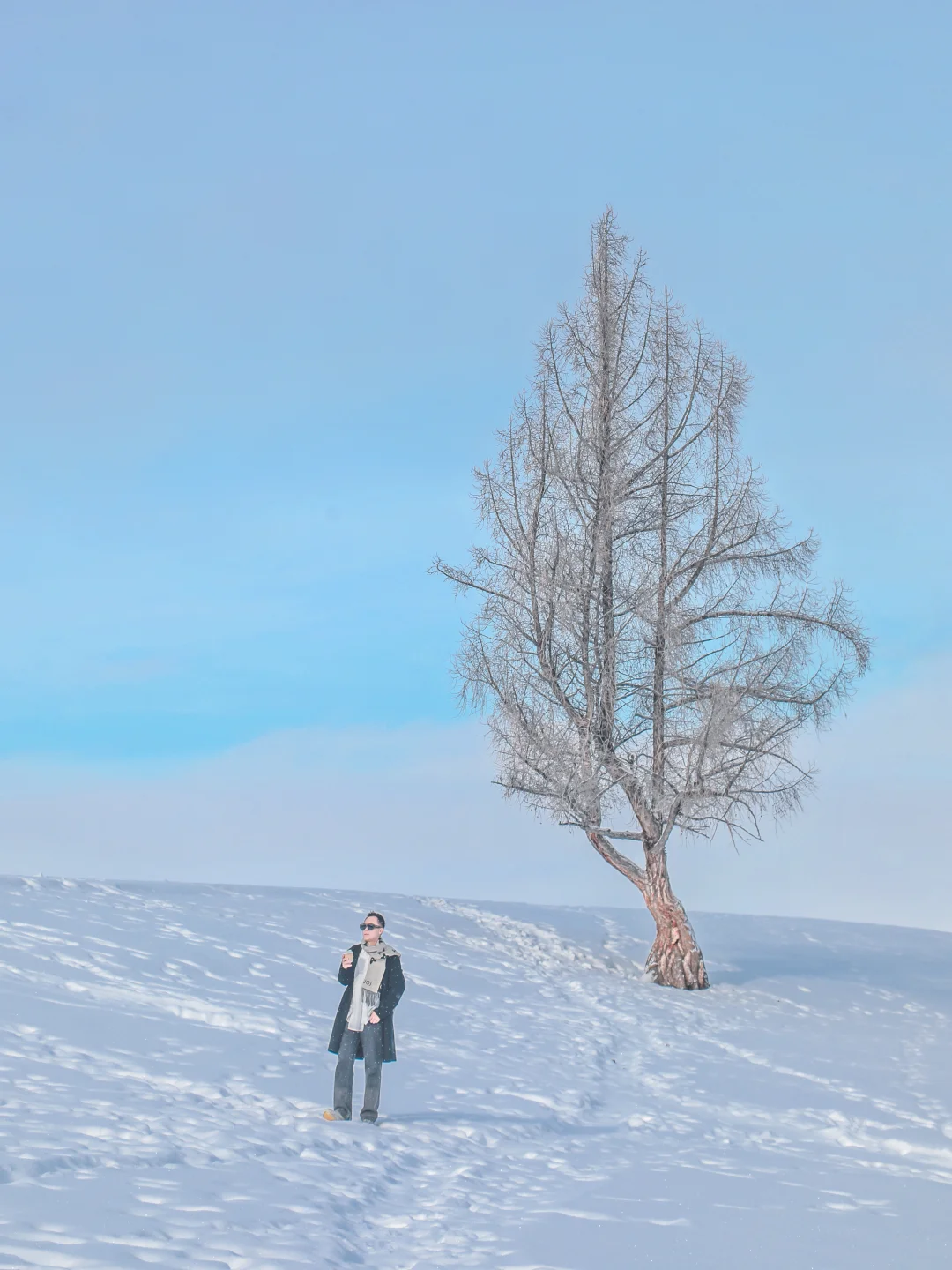 ❄️比起禾木，我更喜欢白哈巴！