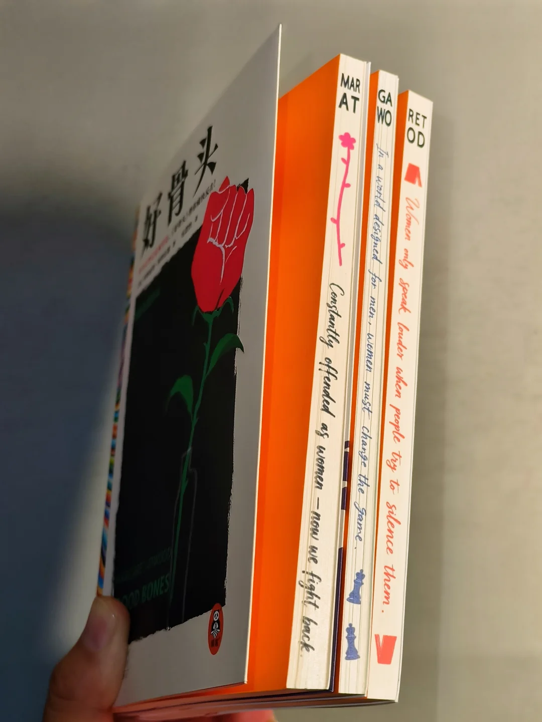 这种不好惹的女作家！请多多来点！！