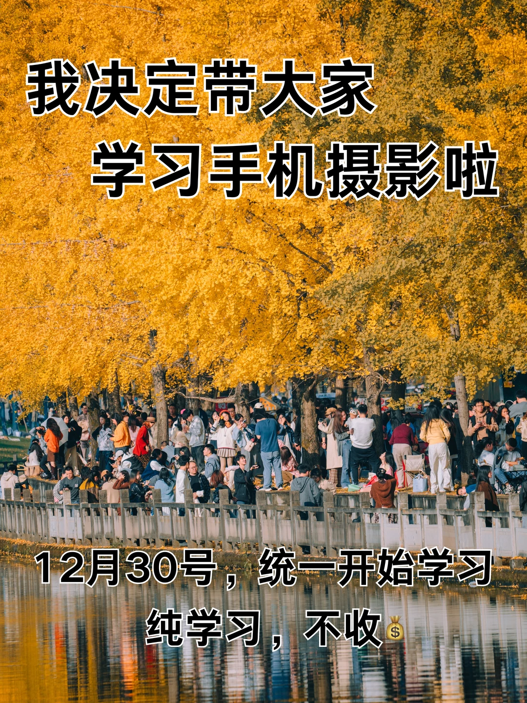 我决定带大家学习手机摄影啦！！