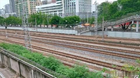 《广州东站列车合集,蓝妹妹海豚兔子占主角》播放量：912<br />作者：挽江