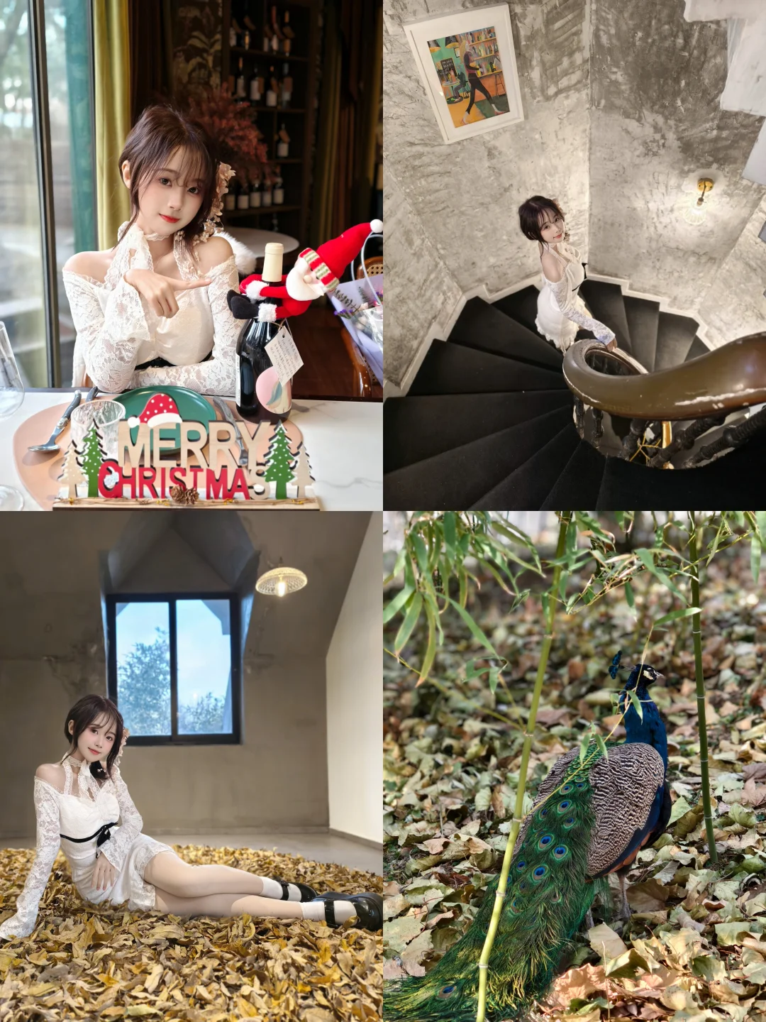 北京初冬|和孔雀共度圣诞下午茶❄️