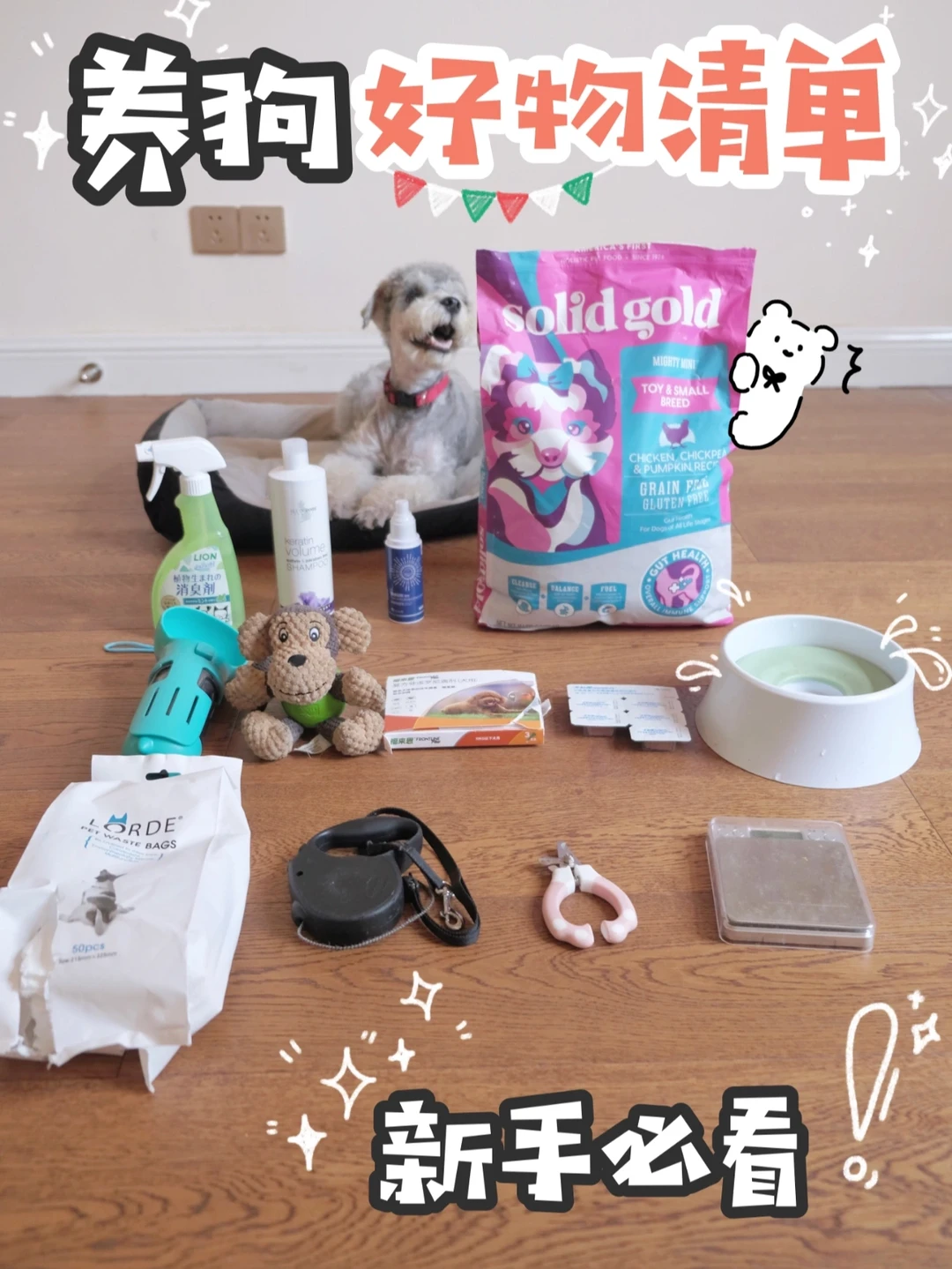 新手养狗清单💕无好物不分享🐶一篇就够