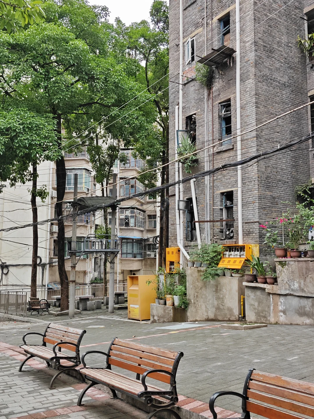 巴南老社区：莲花一村(citywalk447)