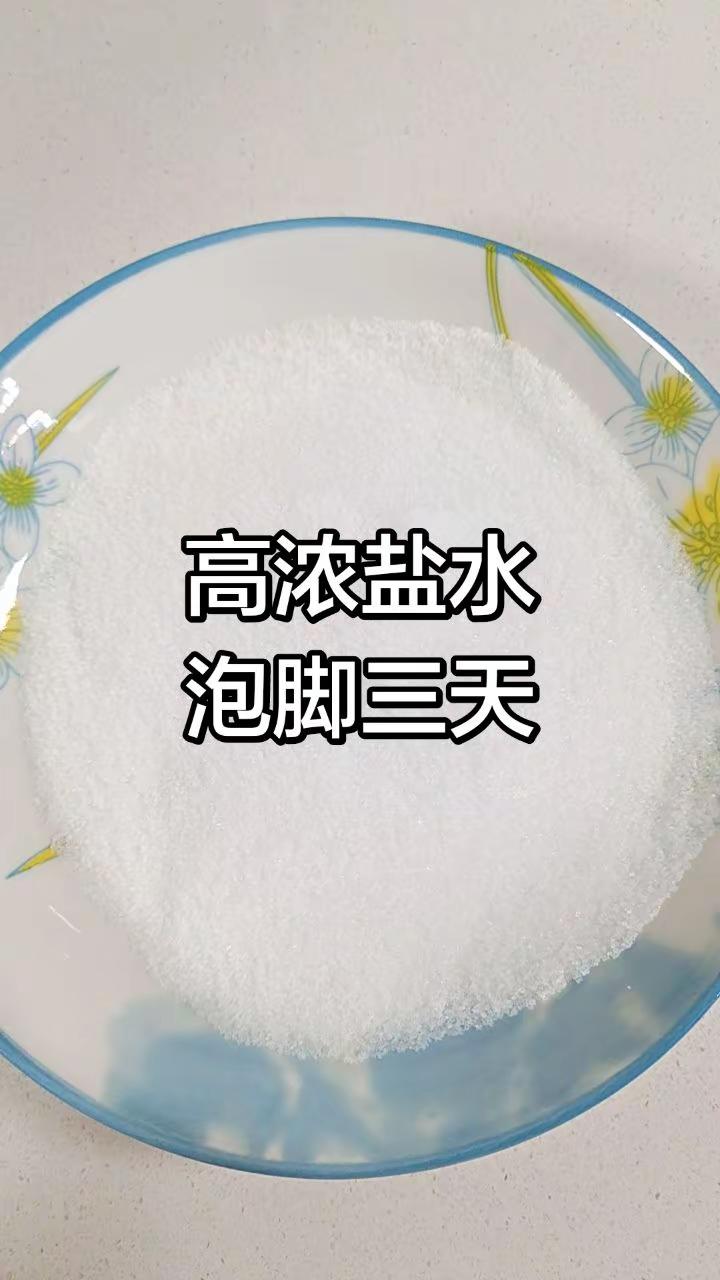 第二届
