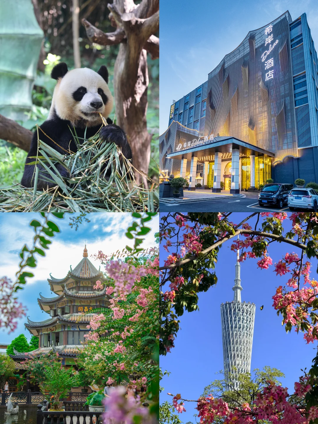 广州长隆亲子游报恩酒店💕带娃不累还省钱