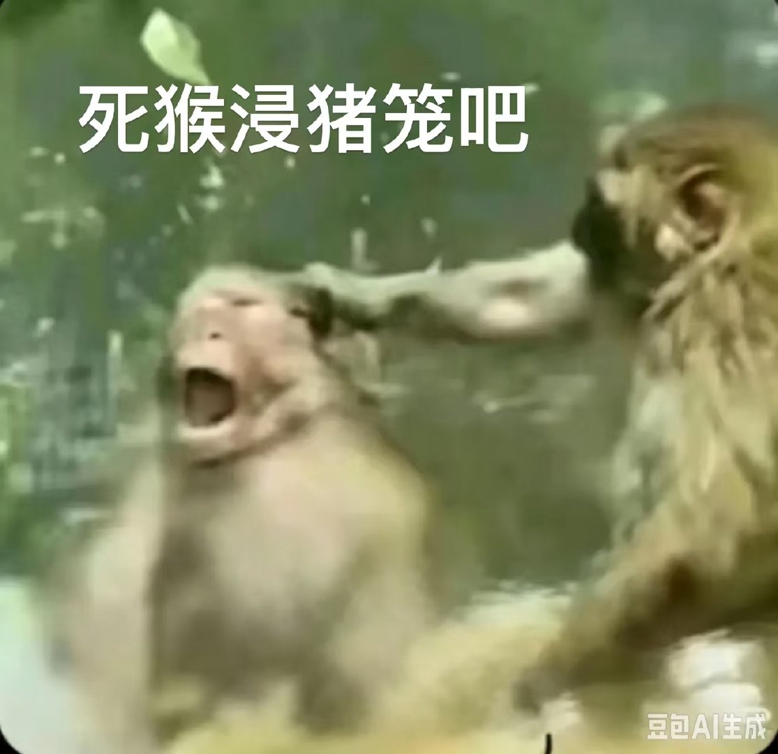 分享图片 ​