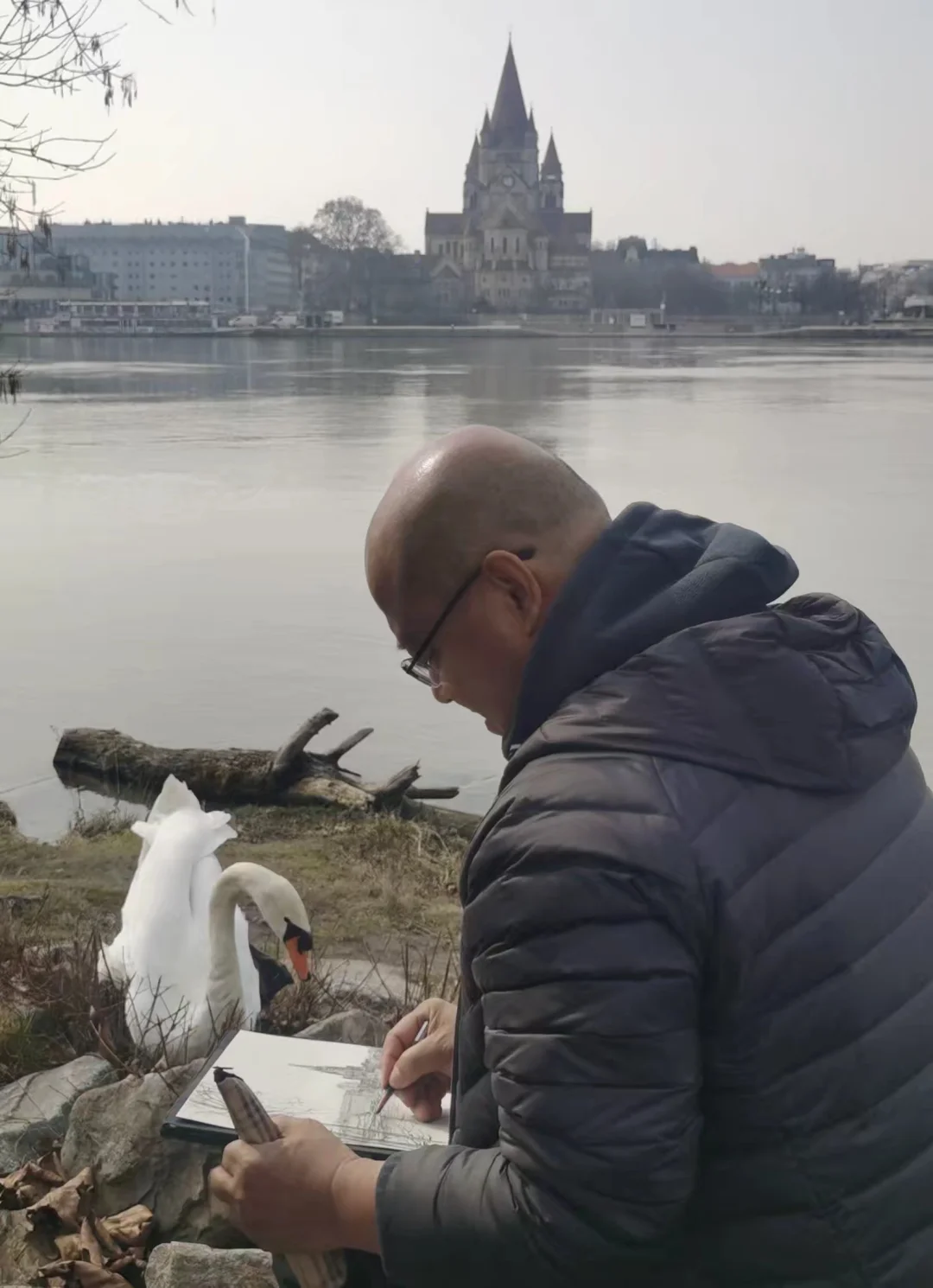 天鹅看我画写生