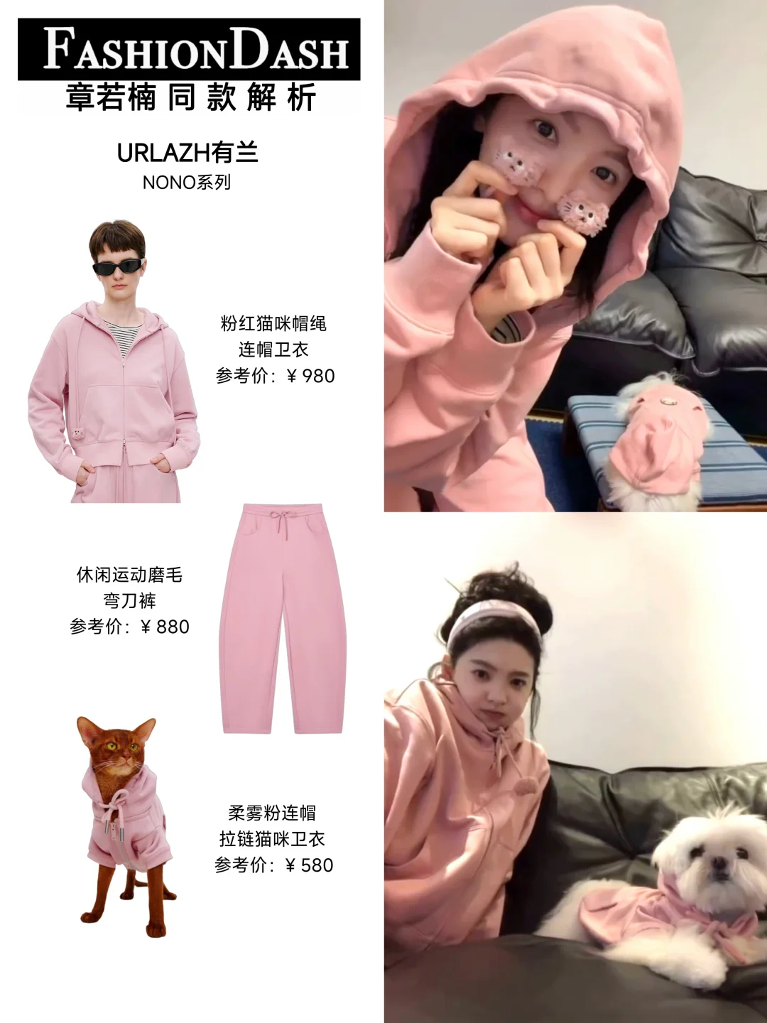 被章若楠和小狗萌化，也太可爱了吧！