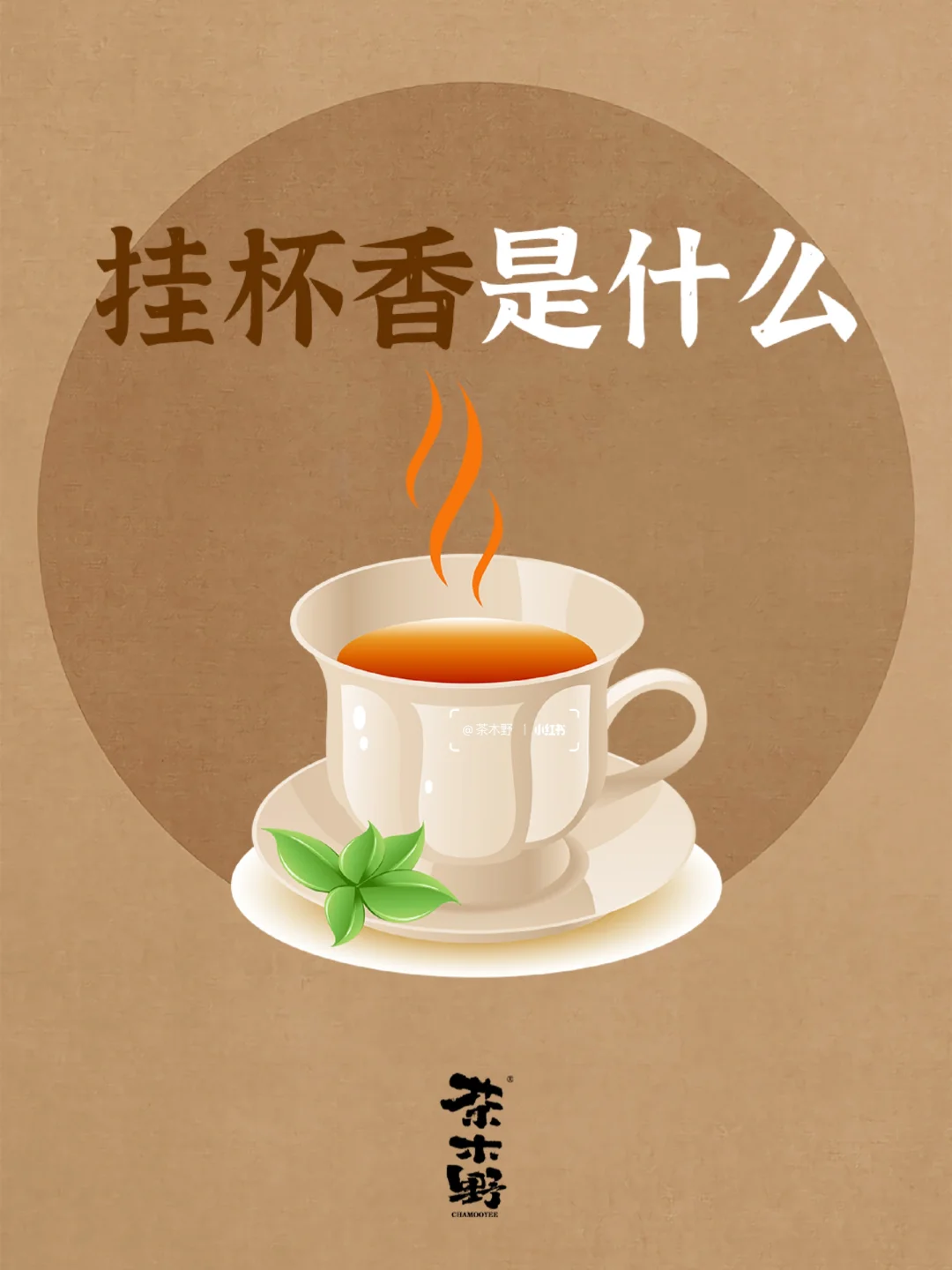 知识分享丨一文读懂挂杯香