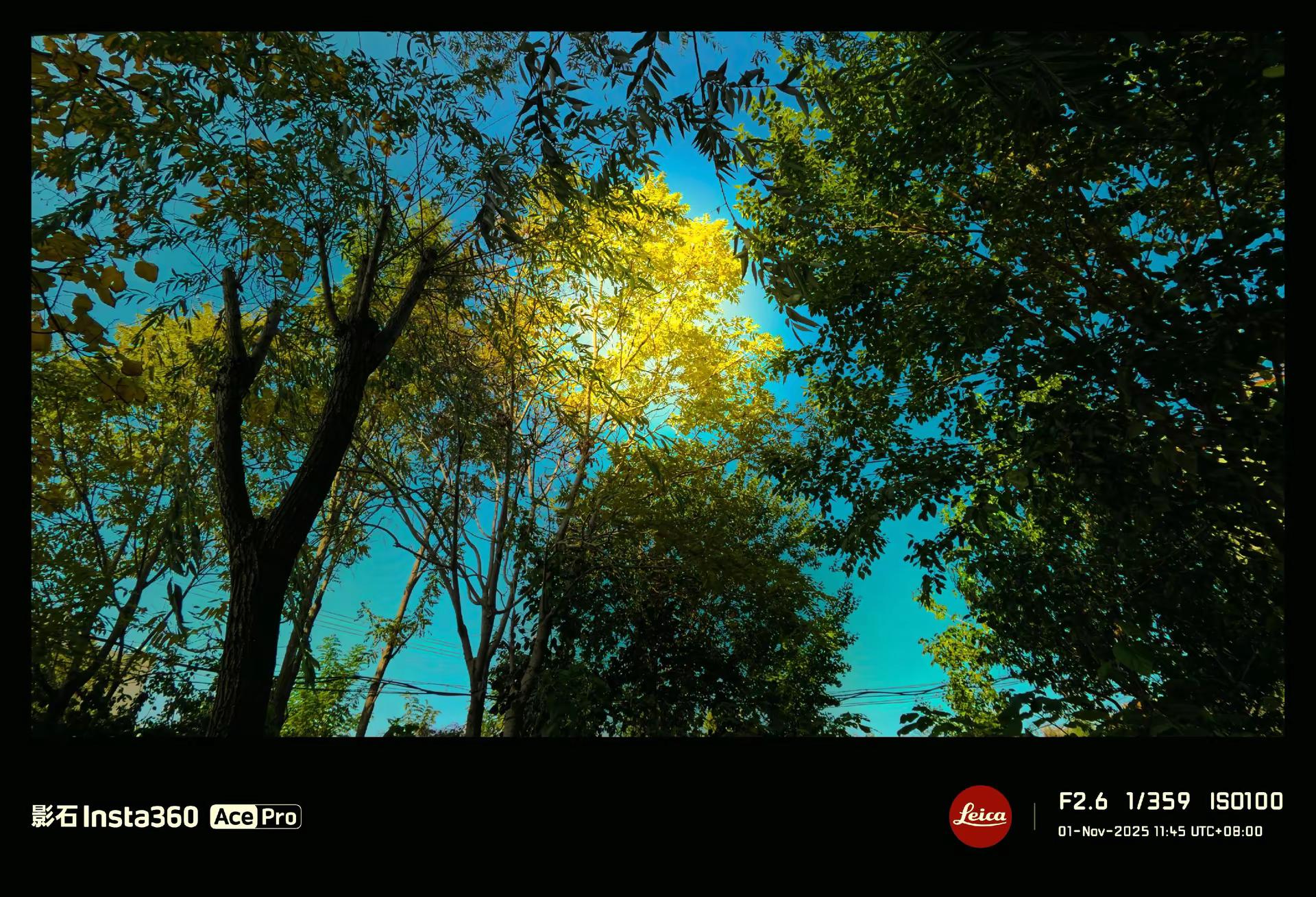 你Crush在你心中的样子