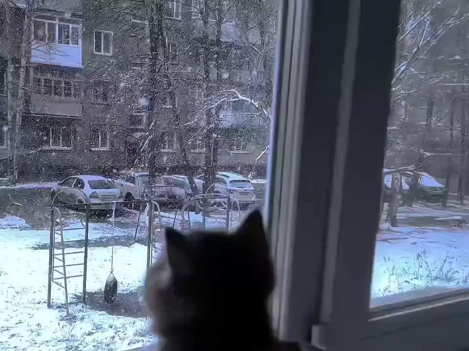 喜欢一个人的感觉是什么样的