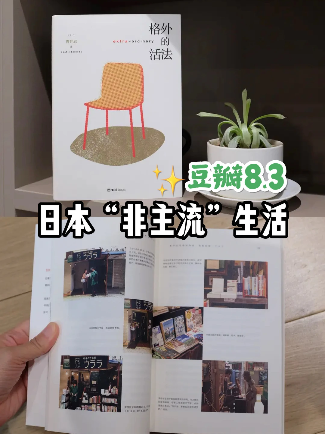 探究12种日本“非主流”活法❗️