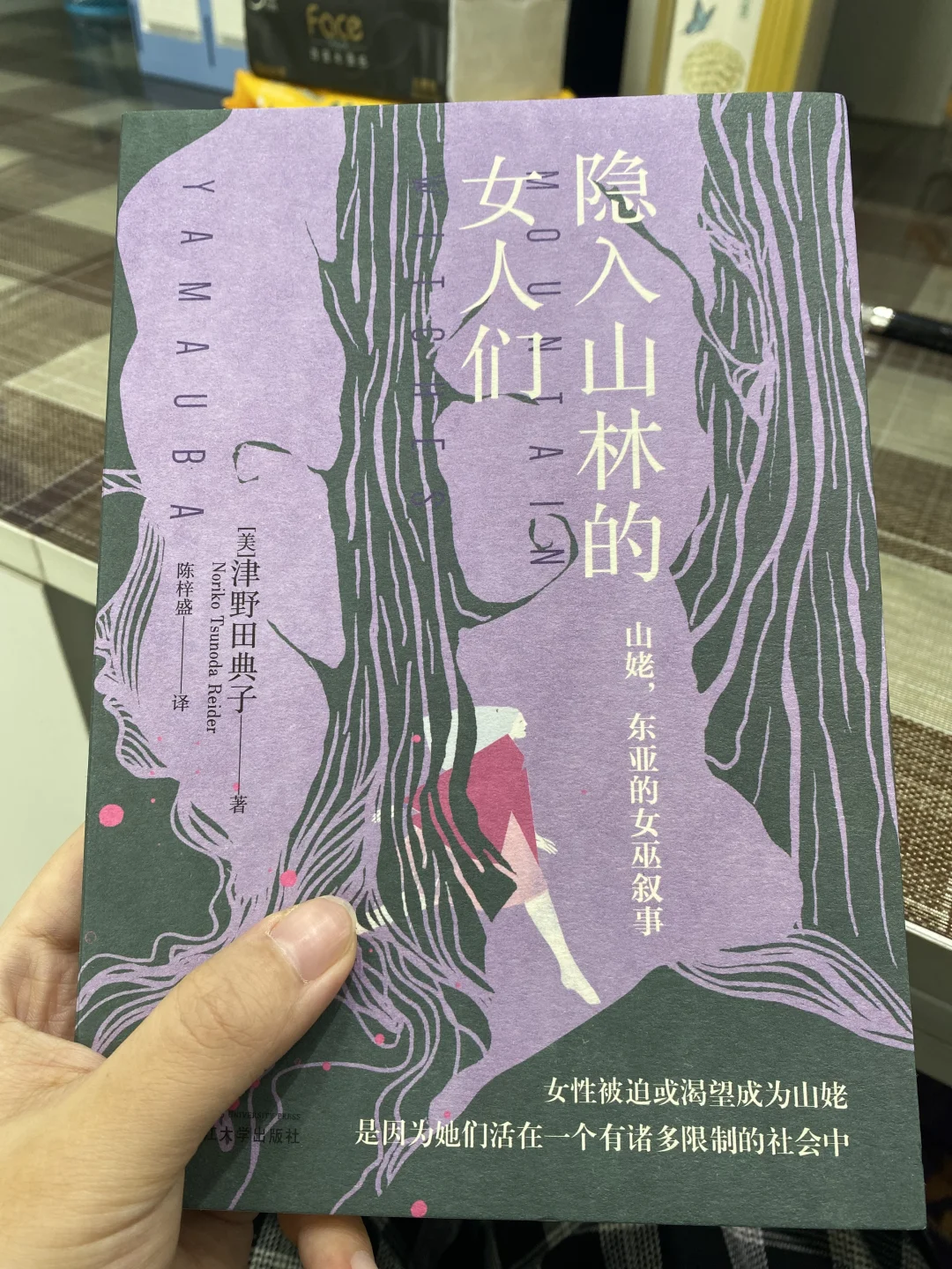《隐入山林的女人们：山姥，东亚的女巫叙事》