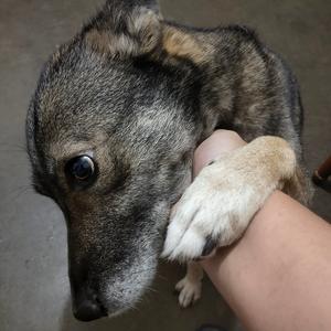 江边旁倾听涛声