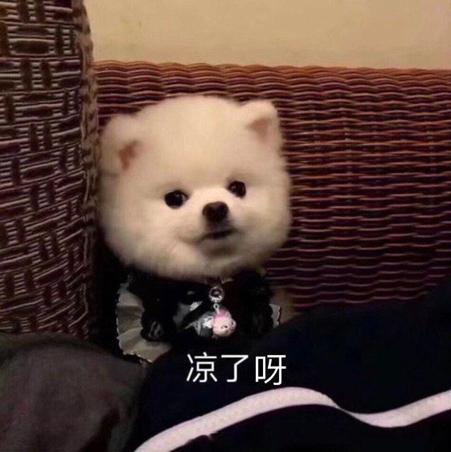 晴空辐射作用下，早晨有点凉凉感觉，大家有感觉到吗？#广东气温实况# ​