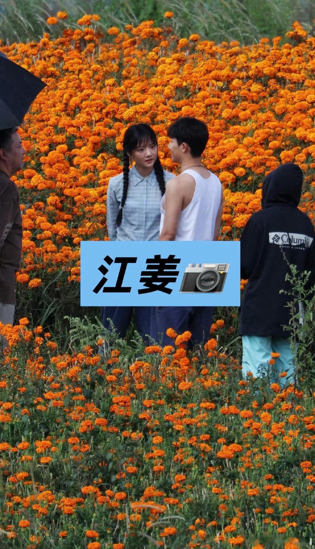 任敏、张晚意《柿柿如意》同框路透🈶，来康康有cp感吗[吃瓜] ​