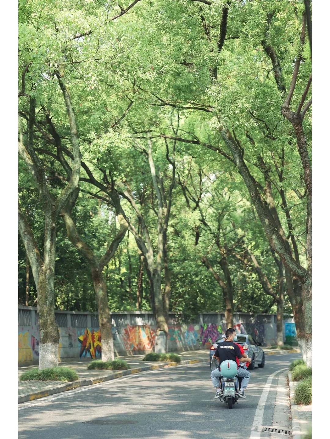 武汉最浪漫的徒步路线，走进森林秘境🌿