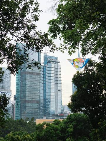 莲花山公园<br />只见到了林子里的，没见到路边的柠檬桉，还想捡点叶...