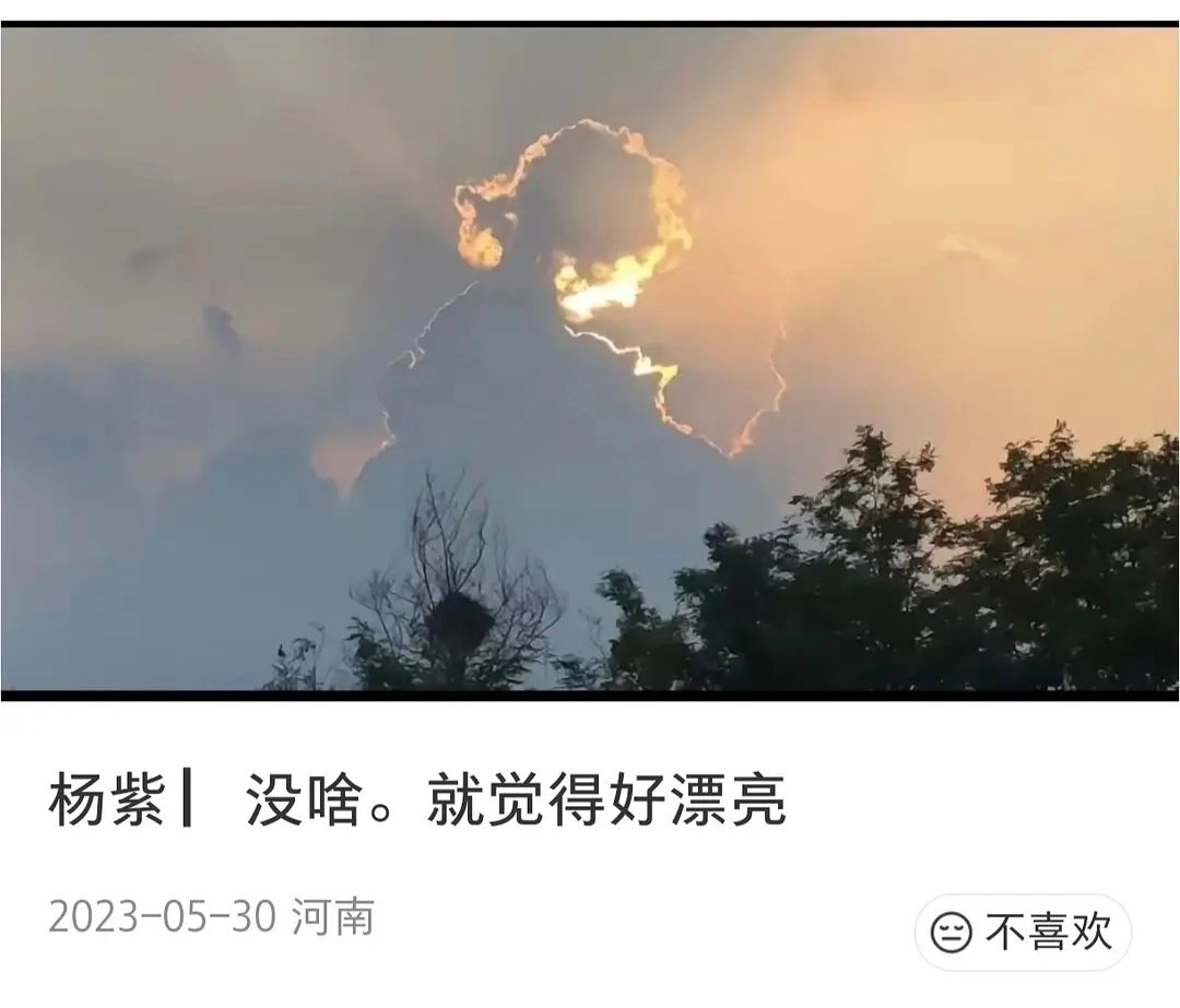 啊啊啊啊啊啊天选白菊！！！！！ ​