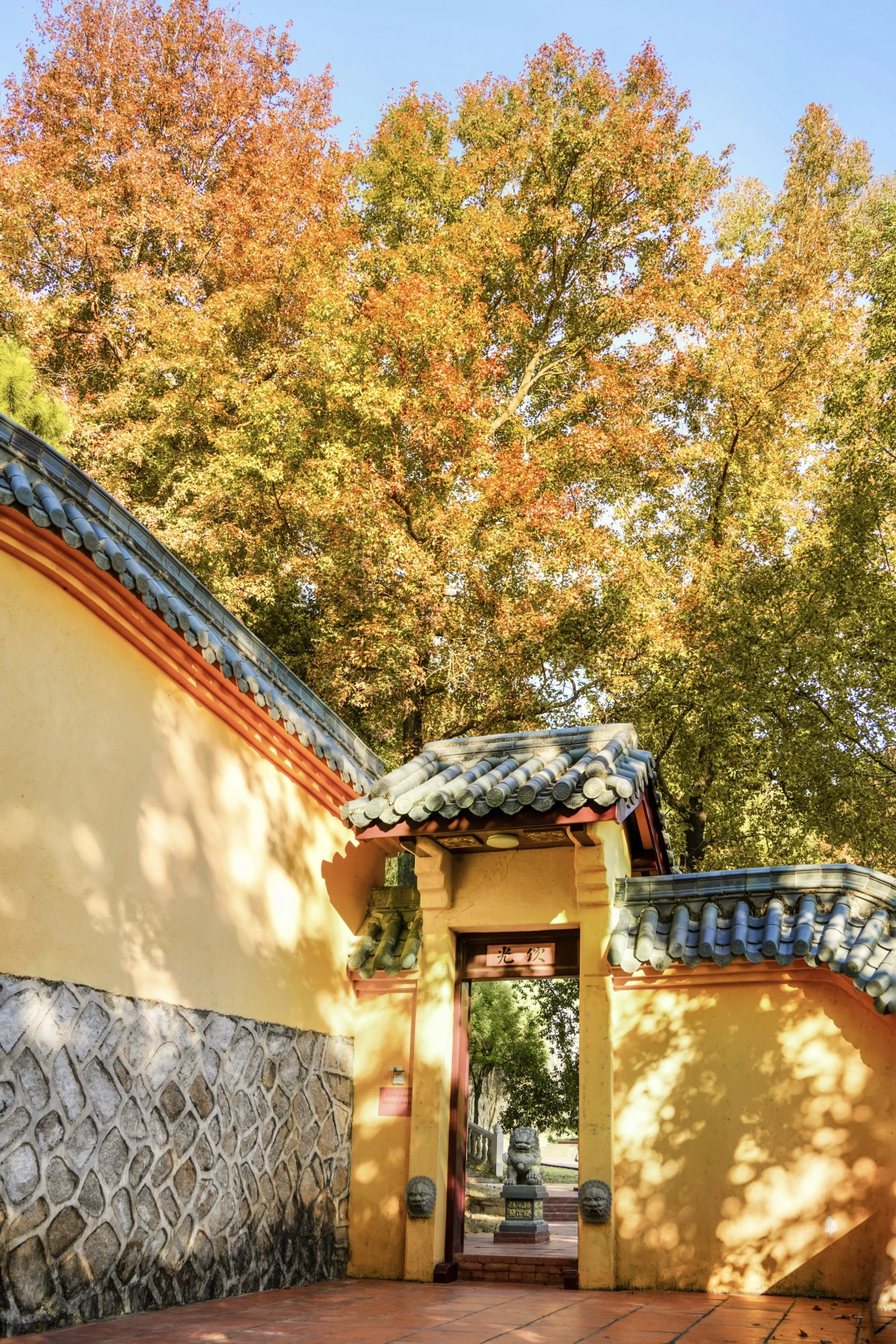 厦门的极致秋色，这个寺庙独占三分