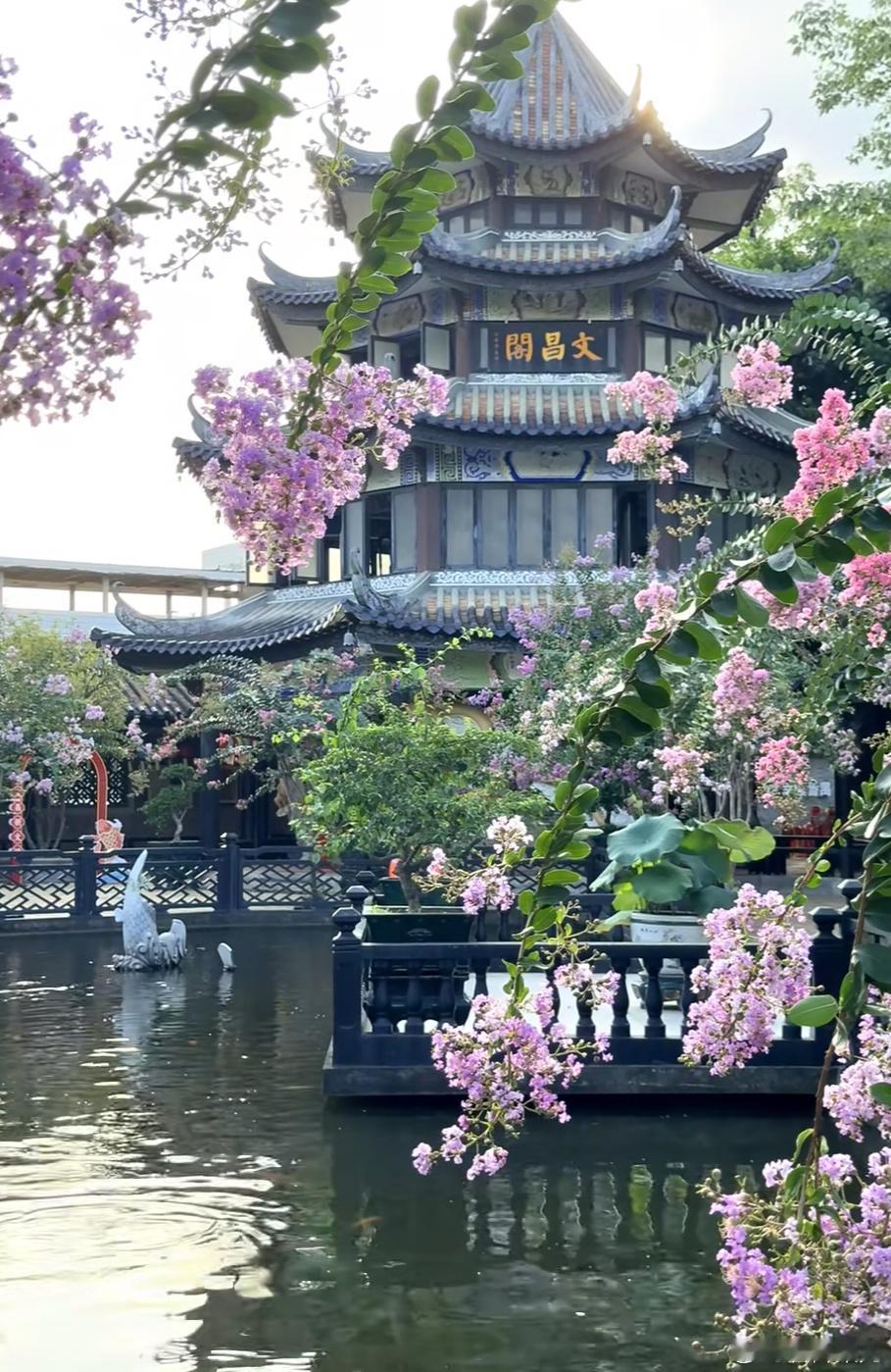 中午找一家老牌茶楼体验广式早茶，虾饺、凤爪、流沙包口感细腻鲜香，慢悠悠...