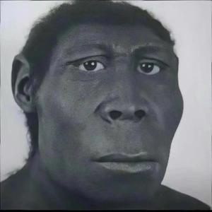 众生相的研究所