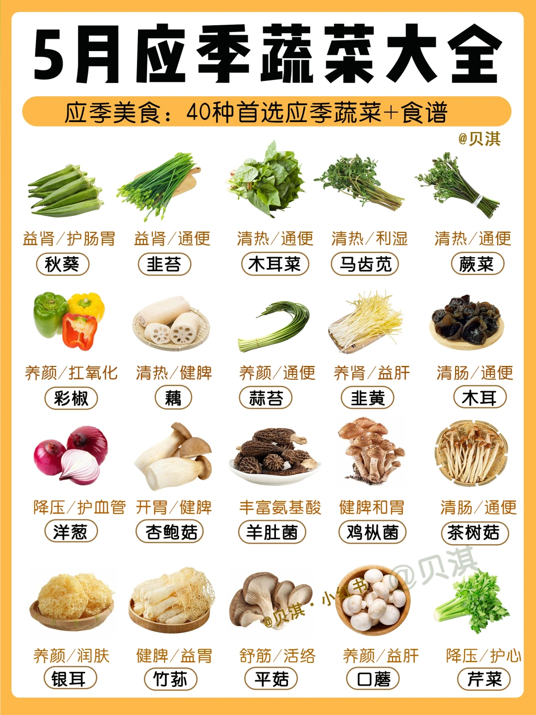 5月应季蔬菜速查‼️初夏要多吃40种应季菜