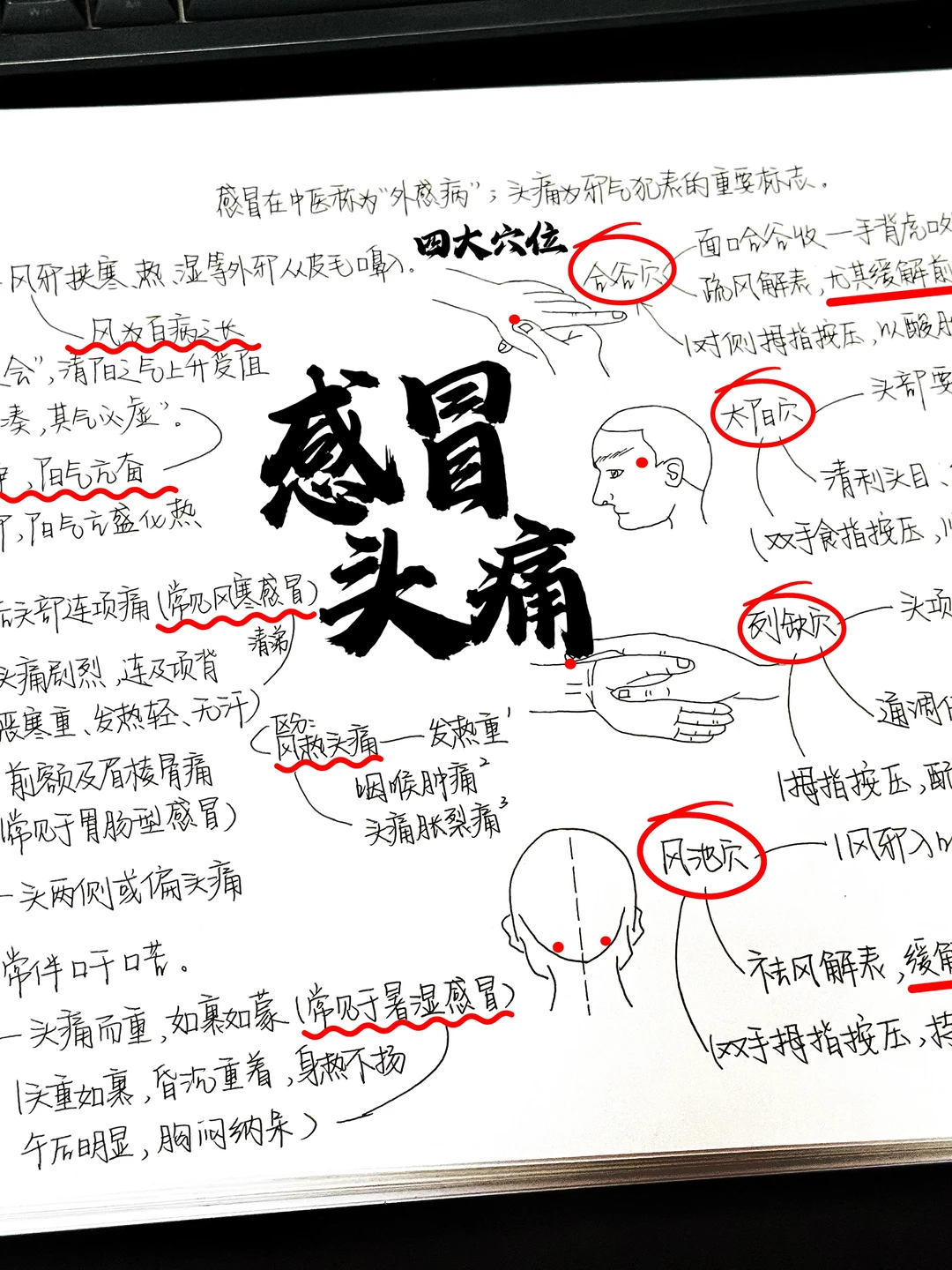 终于有人把感冒头痛说清楚了！