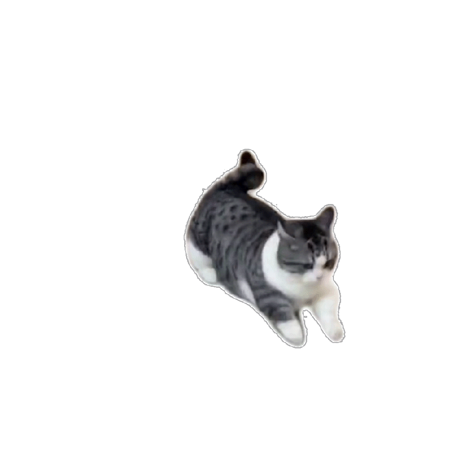 白底𝙒𝙚𝘾𝙝𝙖𝙩动态猫咪表情包🐈