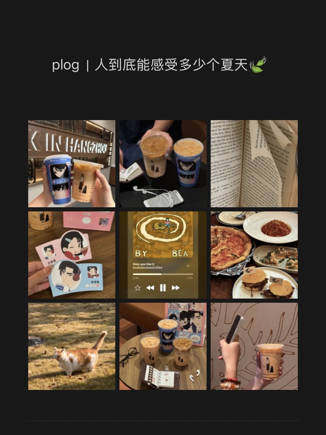 plog｜人到底能感受多少个夏天