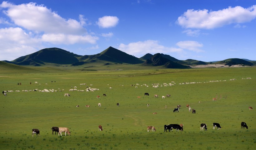 内蒙古锡林郭勒盟发生4.6级地震，震源深度20千米，承德，唐山，赤峰等多地网友都反馈感受到震感。
 
中国地震台网正式测定，这次地震发生在9月9日傍晚，震中落在西乌珠穆沁旗。震中周边多是草原村落，距离旗政府驻地还有将近九十公里。地震发生之后，不少距离震中较远区域的网友，在网络上分享现场感受，有人能察