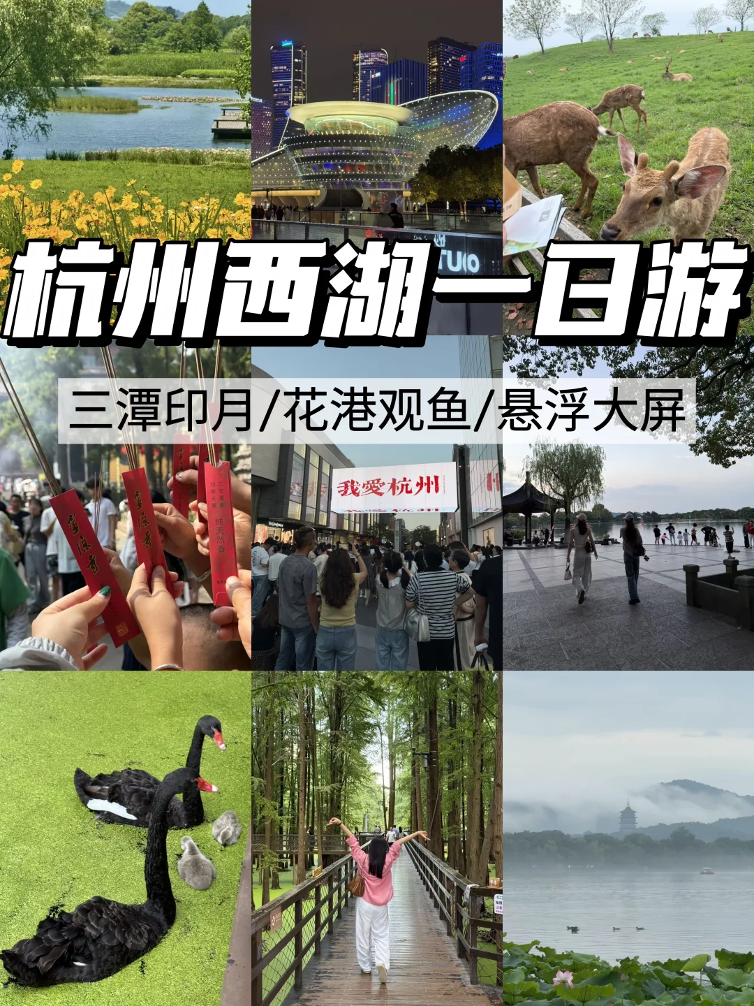 好牛！千问5分钟搞定杭州西湖旅行攻略
