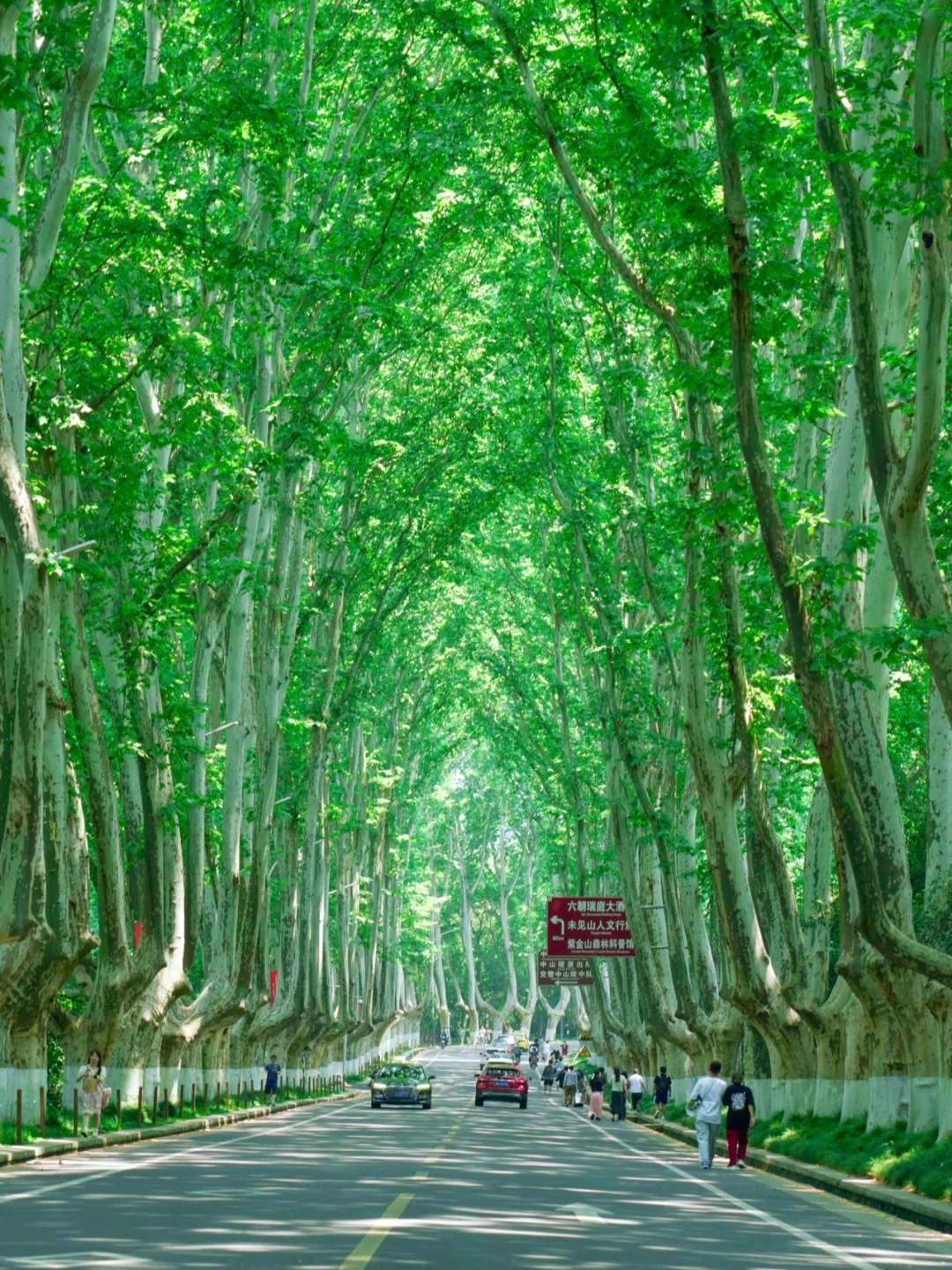 南京旅行后劲太大了😭，听听我的真实感受！
